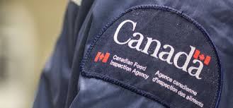 Unions representing more than 8,500 canada border services agency (cbsa) employees voted to strike as early as the first week of august. Cta Statement Cbsa Labour Disruption Ontario Trucking Association