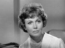 Watch Sam Benedict Online