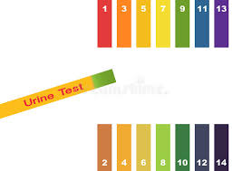 ph scale litmus paper color chart stock vector