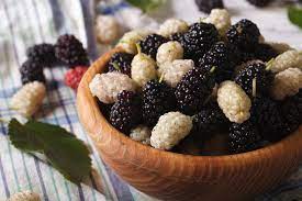 Daca esti pasionat de web design, poti alege sa lucrezi de acasa in acest domeniu, totul cu minime investitii. Afaceri In Agricultura Mai Putin Cunoscute Dar Cu Potential De Profit