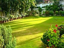 Check spelling or type a new query. Kerala Style Landscape Design Photos Kerala Home Design And Floor Plans 8000 Houses