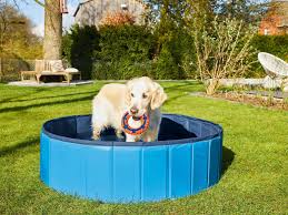Zoofari Piscine Pour Chien Sans Gonflage Lidl
