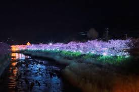 마법과 고교 열등생 5권 택본 31권 32권pdf 입니다. æ²³æ´¥æ¡œãƒ©ã‚¤ãƒˆã‚¢ãƒƒãƒ— Hashtag On Twitter