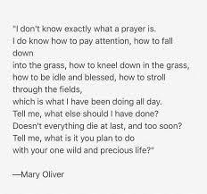 I Don T Know Exactly What A Prayer Is I Do Know How To Pay Attention How To Fall Down Into The Grass How To K Mary Oliver Quotes Cool Words Mary