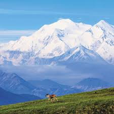 Explore Interior Alaska In One Week Denali National Park Alaska National Parks National Parks