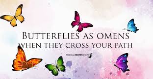 Orange is also the color of health and wellness. Spotting Butterflies Might Be A Sign That The Dead Try To Speak To You Or That A Deceased Lo Yellow Butterfly Meaning Butterfly Meaning Blue Butterfly Meaning