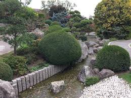 Photo6 Jpg Bild Von Japanischer Garten Freiburg Tripadvisor