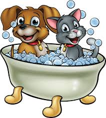 Our pet grooming services are done by a trained, caring, pet loving professional who take pride in their work. Mobile Pet Spa Mobile Pet Spa