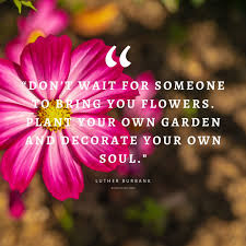 Check spelling or type a new query. 55 Inspirational Flower Quotes Beautiful Motivational Sayings With Pictures