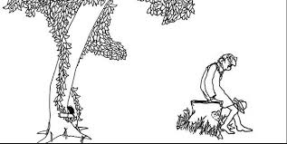 The Giving Tree By Shel Silverstein The Images In This Story Are Important To The Plot Because They Help De Tree Coloring Page The Giving Tree Coloring Pages