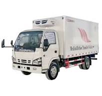Cold Room Truck Isuzu 10 Tons Refrigerator Van Box and Truck for Milk  Transportation
