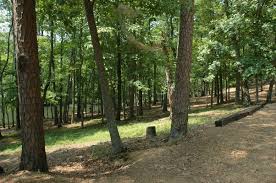 Staff directory careers accessibility support site map legals our ethical. Ants In J P Coleman State Park Tishomingo County Mississippi