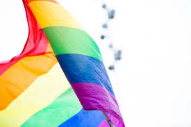 Regenboogvlaggen werden en worden door de eeuwen heen gebruikt. De Regenboogvlag Is Deze Maand Erg Populair En Niet Zomaar Vlaggen Com
