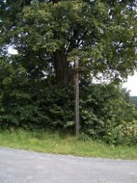 Webkamera s mikrofonem, nebo bez? Webkamera Ski Areal Vankuv Kopec Webkamera Turistika Cz