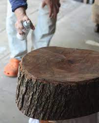 How To Preserve The Bark On A Tree Stump Make A Table Or Stool Out Of It Treestump Coffeetable Stumptables Woodworking Projects Wood Projects Wood Diy