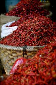 Red Chiles In New Mexico Stuffed Peppers Stuffed Hot Peppers Spices And Herbs