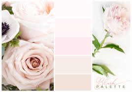 We did not find results for: Blush Flower Types Florist Guide Florist Blog We Love Florists Floristry Resources Inspirations