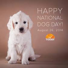 Popular quotes on save animals and wildlife conservation. Happy National Dog Day Happy National Dog Day International Dog Day Dogs