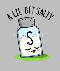 A Lil Bit Salty Cute Salt Shaker Pun Women S Hoodie Spreadshirt In 2021 Puns Hoodies Womens Cute Puns