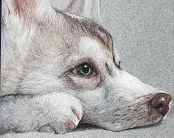 Why not honor the creatures you love in a traditional and permanent way with a beautiful. Animal Drawings Etsy