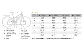 Flyer B8 1 Auslaufmodell 28 Zoll Bestellen Fahrrad Xxl