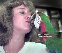 72 photos et images haute résolution de Wendy Bird