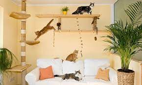 Es müssen verschiedene erhöhte beobachtungsplätze in der wohnung eingerichtet werden, von denen aus die katze eine gute übersicht hat. Das Katzenparadies In Der Wohnung Katzen Katzen Wohnungen Wohnung