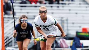 Image result for Rennera laxa