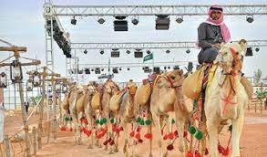 There's a whole new festival in town, one that swaps beauty queens for beautiful camels, throws in thousands of pounds of prize money, lasts an entire month and. King Abdul Aziz Camel Festival Arab News