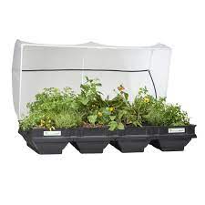 Gardeners.com has been visited by 10k+ users in the past month Vegepod Raised Garden Bed Kit Large 78 7 In X 39 4 In 2 M X 1 M Container With Protective Cover Self Watering C0007 The Home Depot