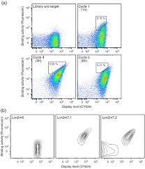 Abberior star 440sxp is a long stokes shi dye. High Throughput Sorting Of An Anticalin Library Via Espp Mediated Functional Display On The Escherichia Coli Cell Surface Sciencedirect