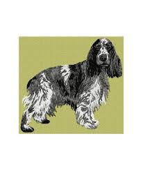 Image result for anglický kokršpaněl