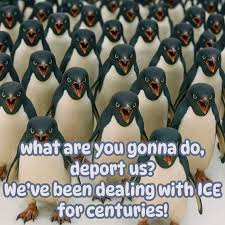 Foto publicada por Jillian Hadley (@hadley.jillian)