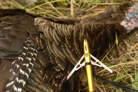 Top Turkey Broadheads Of 2017