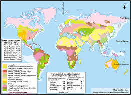 They include the fire service, healthcare, tourism and retailing. Tertiary Economic Activity Definition Geography