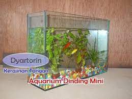 Cara pembuatan aquarium dari kaca bekaspembuatan aquarium menggunakan kaca bekas cara sangat mudah dan praktis, semoga bermamfaat Cara Membuat Aquarium Dinding Mini Youtube