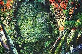 Do Plants Have Consciousness In 2020 Ayahuasca Shaman Facts About Plants
