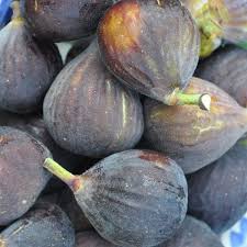 The second, was that the entire, sprawling poem is all one sentence. Chicago Hardy Fig Fig Trees Stark Bro S