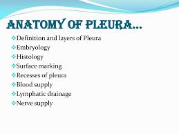 Ppt Anatomy And Physiology Of Pleura Powerpoint Presentation Free Download Id 4332617