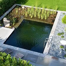 Naturpool Ganz Klassisch Und Formal Gestaltet Schwimmteich Schwimmteich Kleine Hinterhof Pools Natur Pool