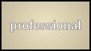 Professional Meaning Youtube