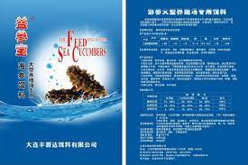 产品展示免疫复合多糖抗生菌健胃多酶幼鲍1 2 料开口粉料精微粒子活宝成参用料海参大型苗室专用饵料首页上一页