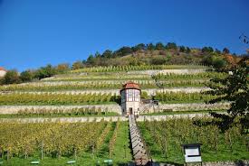 Check flight prices and hotel availability for your visit. Herzoglicher Weinberg Freyburg Ck Domstadt Hotels