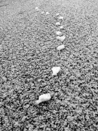 beginning | In the Midst . . .