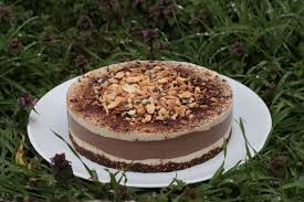 Entremets Cru Et Vegan A La Caroube Et Cacahuetes Gateau Cru Alimentation Recette Gateau