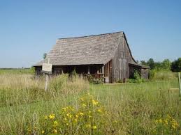 Segundo capitulo da série: Biografia de Walt Disney