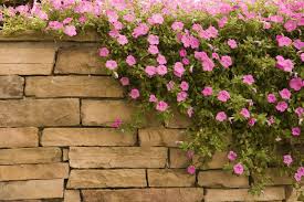 Natursteinmauer gartenmauer naturstein wand granitsteine garten mauer deckplatte aus beton stein 1 3 t stubensandstein 300 t natursteinmauer garten stein trockenmauer fur den garten selber bauen selbermachen de gartenmauer planen bauen und tipps mein schoner garten. Natursteinmauer Im Garten Bauanleitung In 4 Schritten