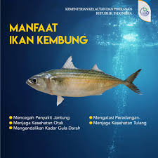 We did not find results for: Sahabatbahari Kementerian Kelautan Dan Perikanan Ri Facebook