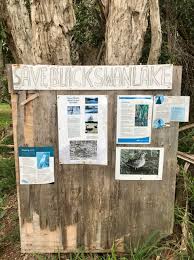 Natalie portman, mila kunis, vincent cassel and others. Black Swan Lake Heist Not On Wildlife Preservation Society Queensland