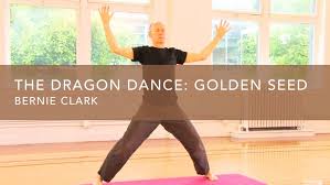 This Installment Of The Dragon Dance The Golden Seed With Bernie Clark Is Inspired By The Fertile Teachings Of Paul And Suzee Gri Dragon Dance Dance Yin Yoga